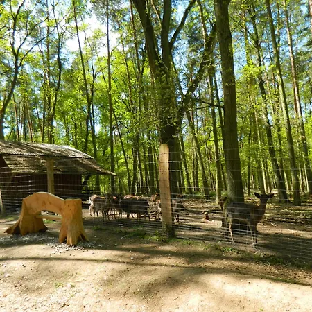 'kiek In' Schellberg * Grevesmuehlen